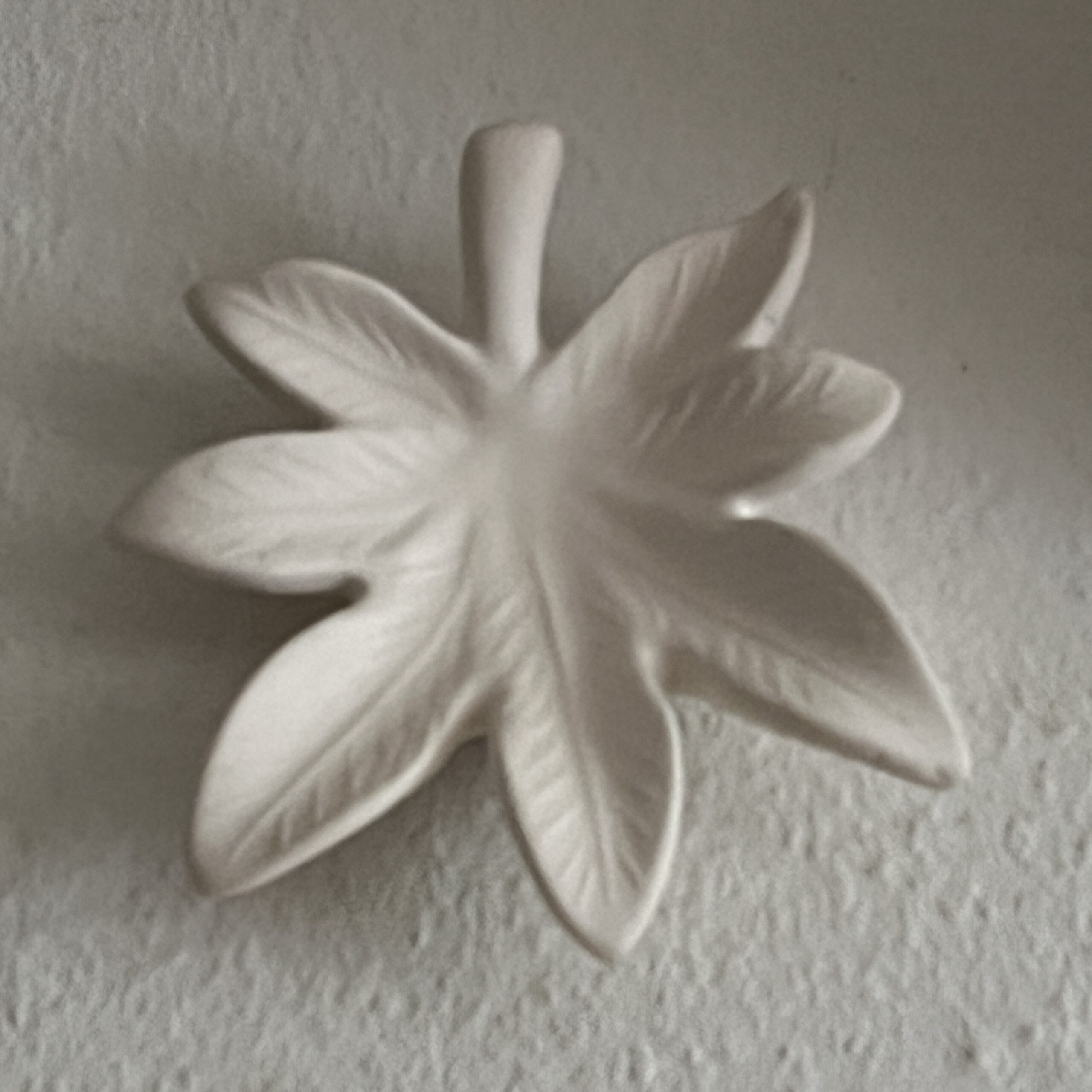 Keramikschale Blatt